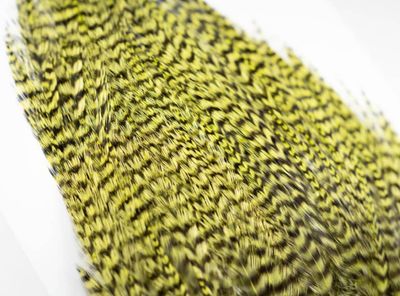 Ewing Deceiver/Streamer Patch