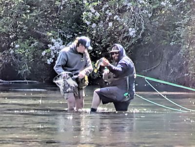 Wading Accessories