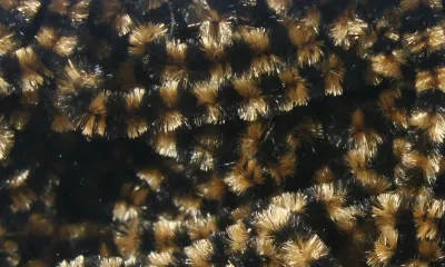 Harline Fly Fish Food Sm. Stonefly Chenille