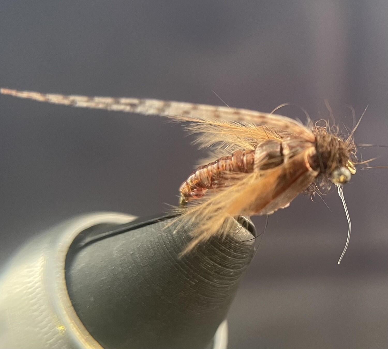 Caddis Pupa Nymph Fly