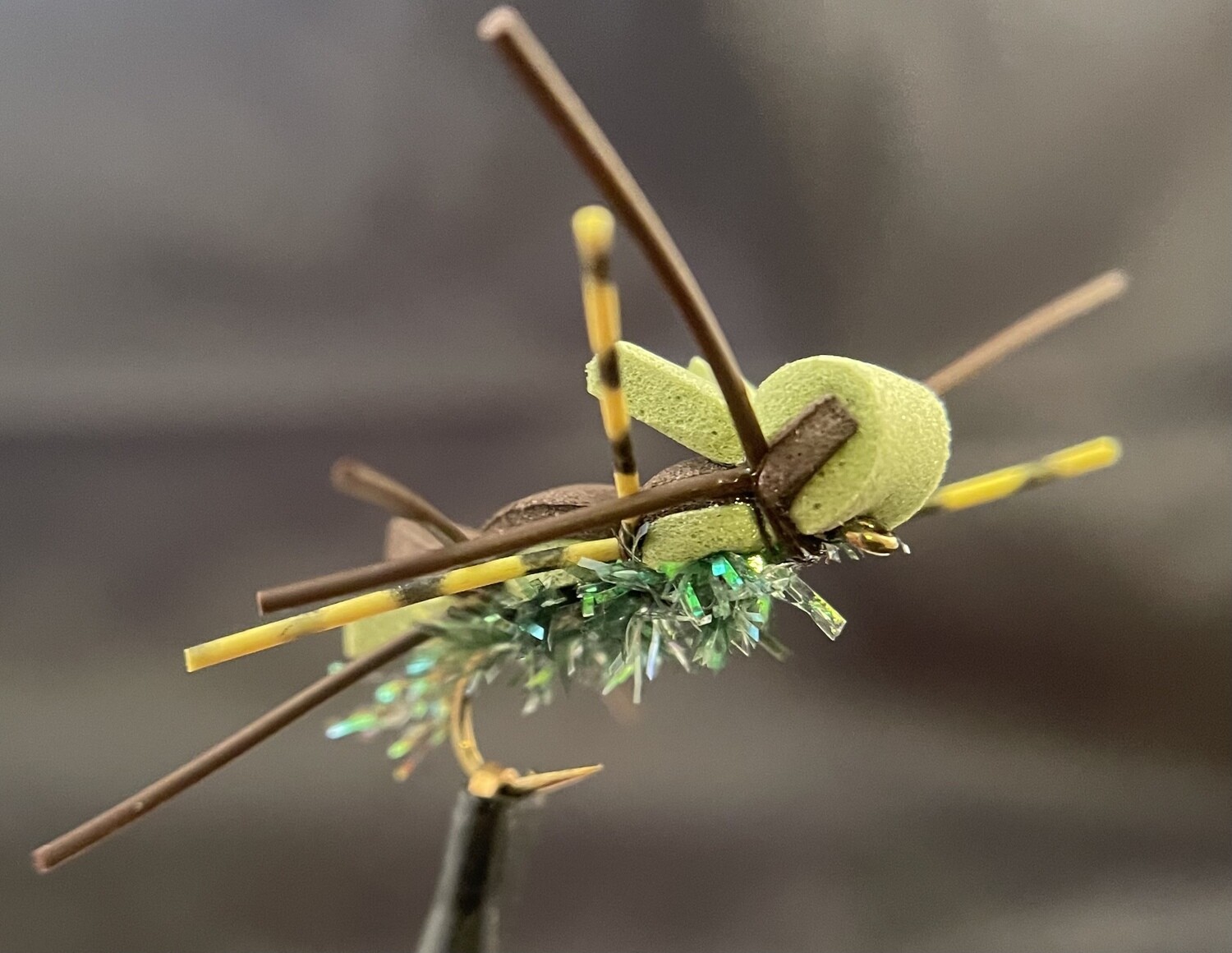 Terrestrial Bugzilla Dry Fly 3 Each