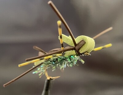 Terrestrial Bugzilla Dry Fly 3 Each