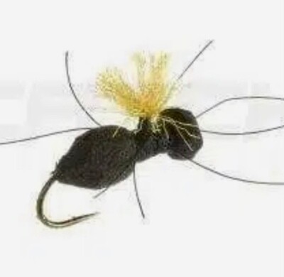 Terrestrial Ant Black Dry Flies 3 Each