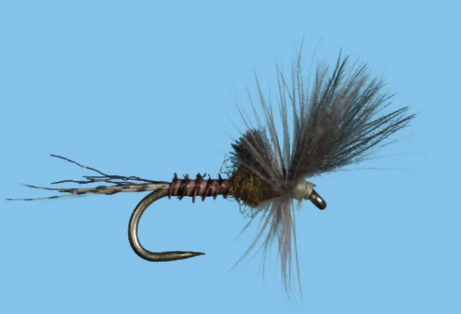 Trout Flies Blue Wing Olive Last Chance 3 Each