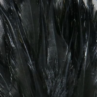 Strung Chinese 5-7 inch Saddle Feathers