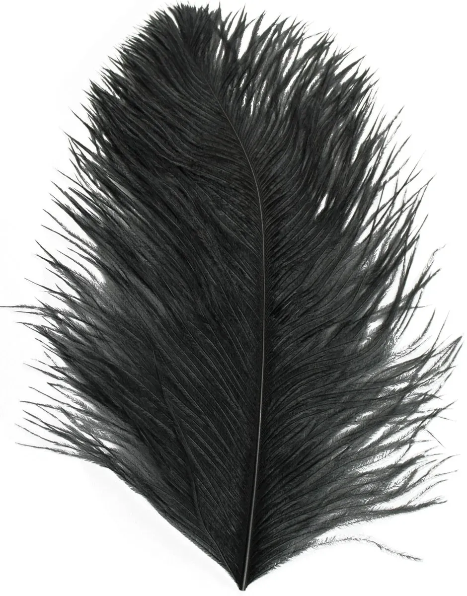Ostrich Plume Feathers