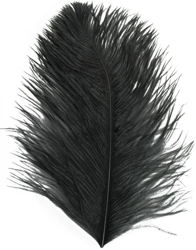 Ostrich Plume Feathers
