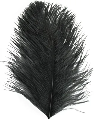 Ostrich Plume Feathers