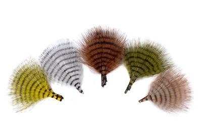 MFC Mini Barred Buggerbou