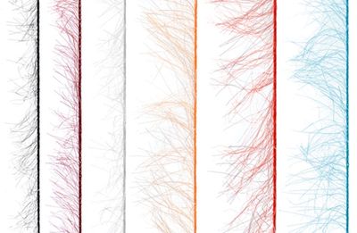 MFC Senyo's Super Satin Polar Chenille