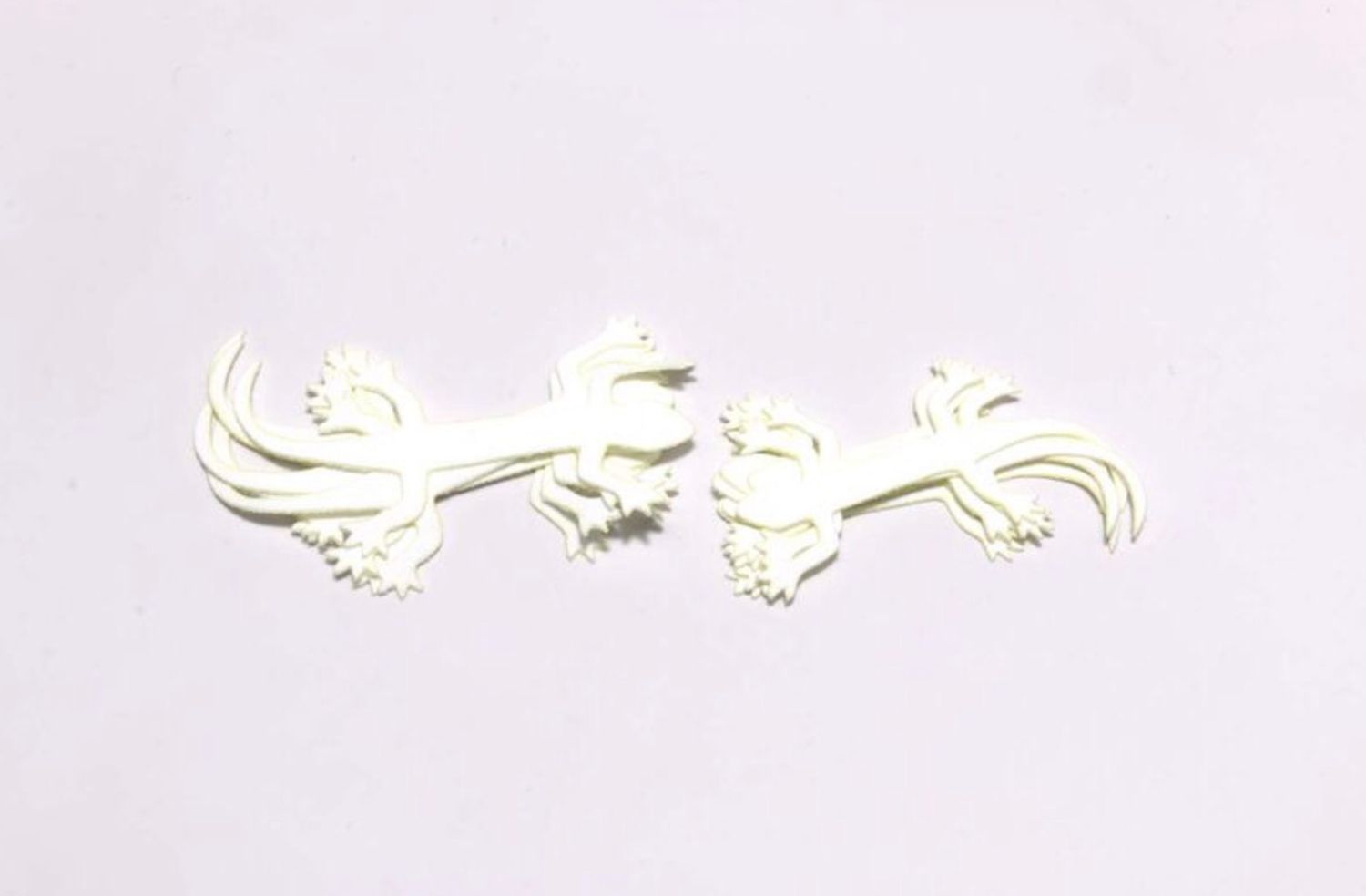 Hareline Cohen's Lizzard 6 Pack