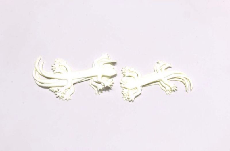 Hareline Cohen's Lizzard 6 Pack