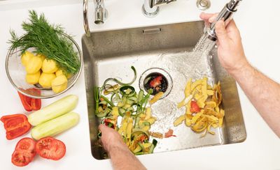 Sink Food Waste Disposer