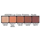 PALETA LIP COLORS: NUDE