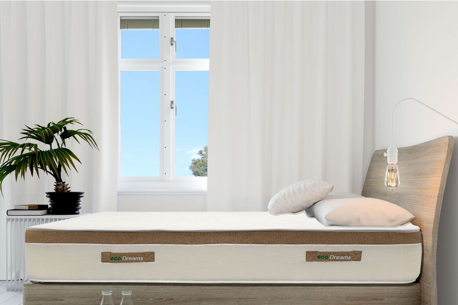 Eco Dreams