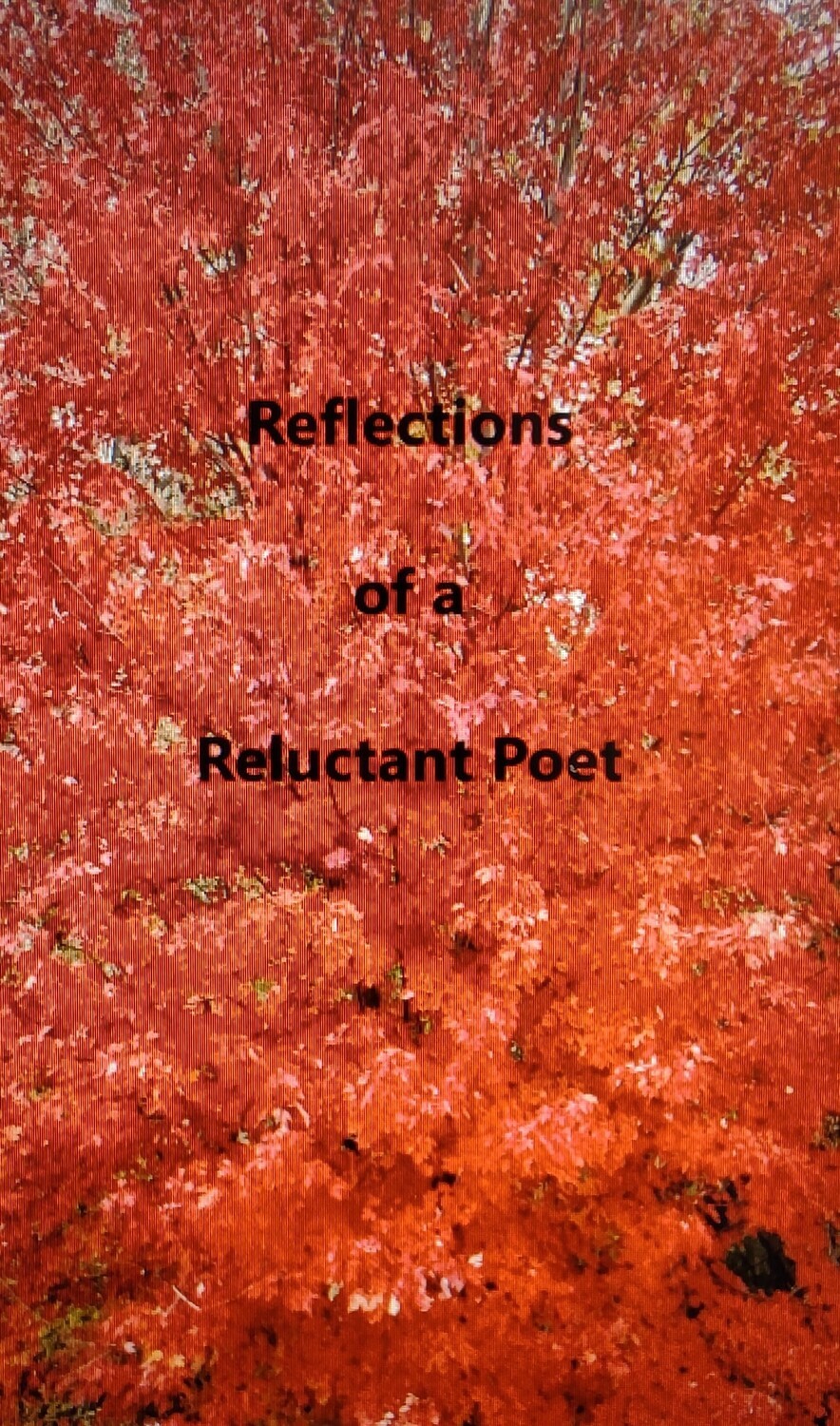Reflections of a Reluctant Poet