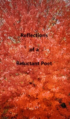 Reflections of a Reluctant Poet