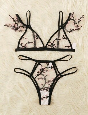 Embroidery Mesh Lingerie Set
