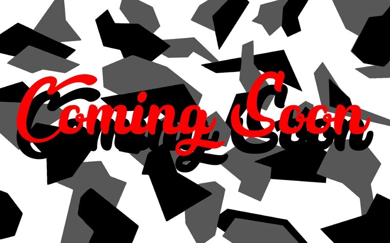 DECEMBER 2023 TEES