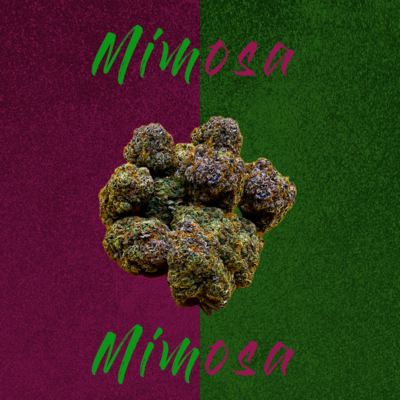 Mimosa aka Purple Mimosa - Hybrid - 20% THC