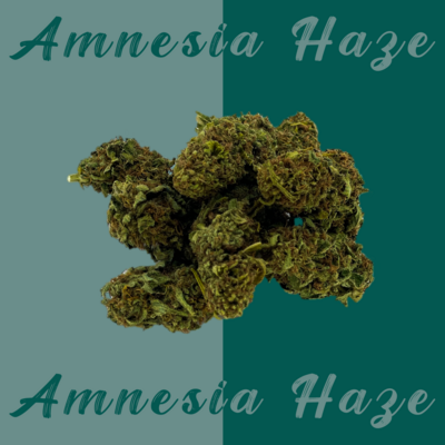 Amnesia Haze - Sativa - 25% THC