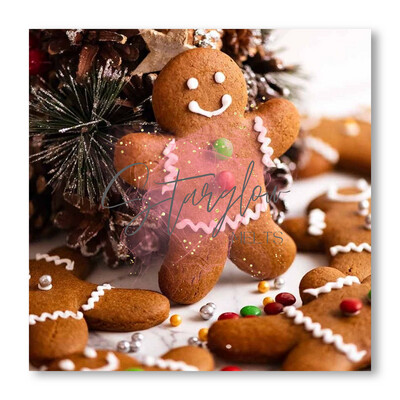 Wax Melt Snap Bar 50g - Gingerbread Biscuits