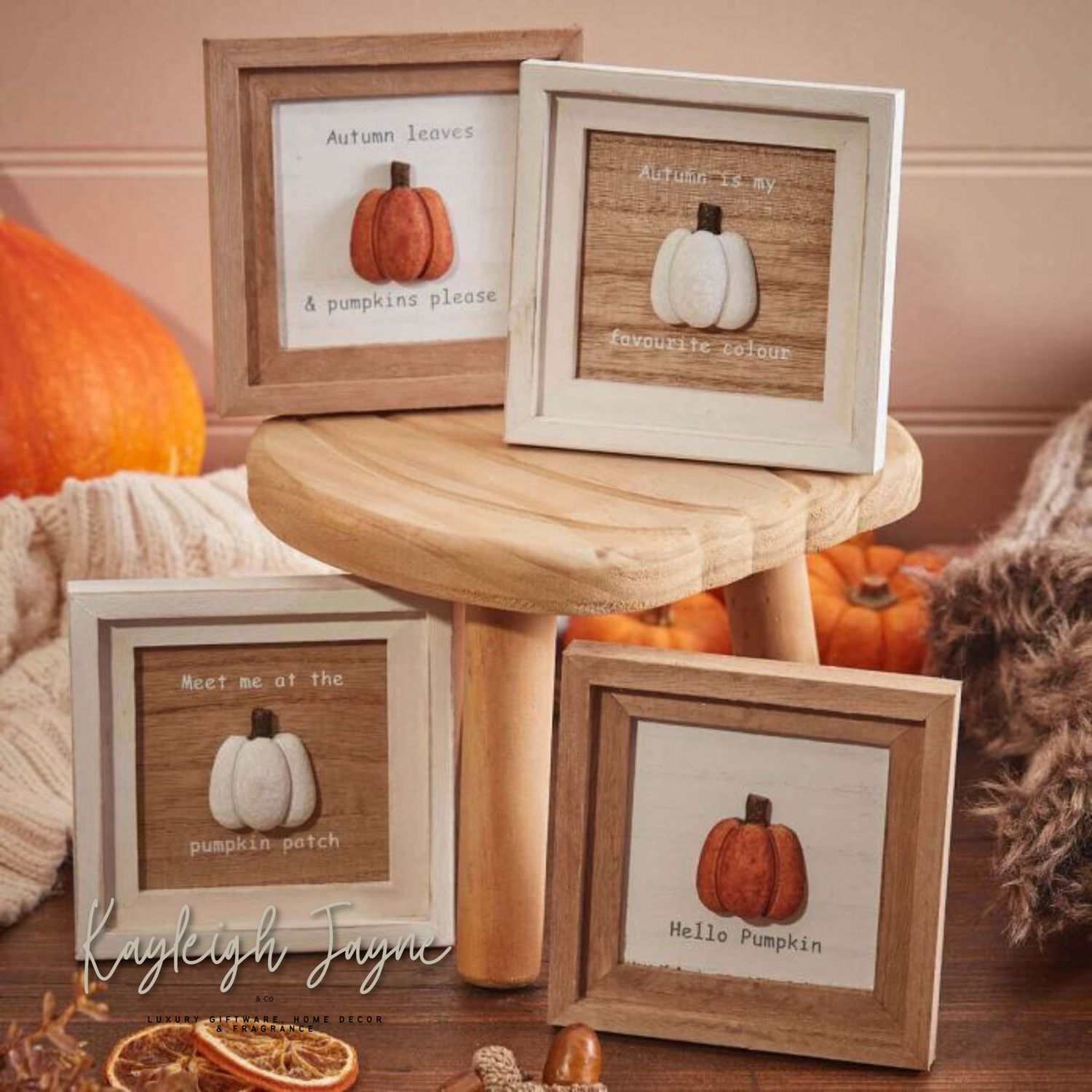 AUTUMN PUMPKIN 3D FRAMED PLAQUE RESIN &amp; WOOD WITH QUOTE