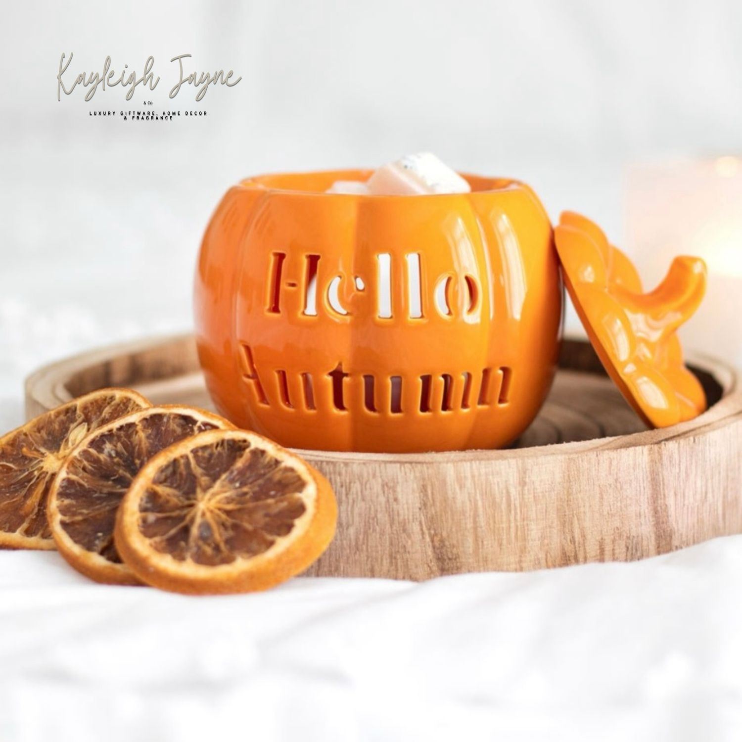 Hello Autumn Pumpkin Wax / Oil Burner