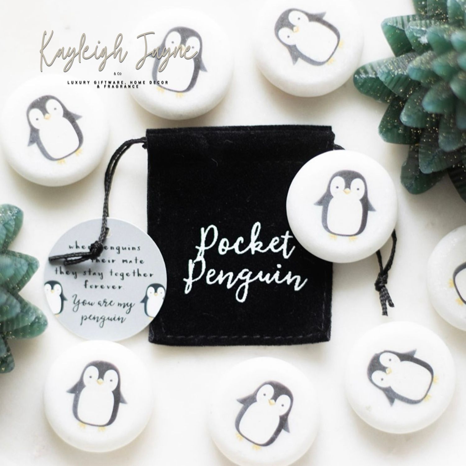 Lucky Pocket Penguin Gift