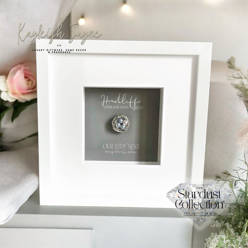  “Our little nest” Frame fine Silver Nest In Frame - Personalised Gift with Crystal Pearls