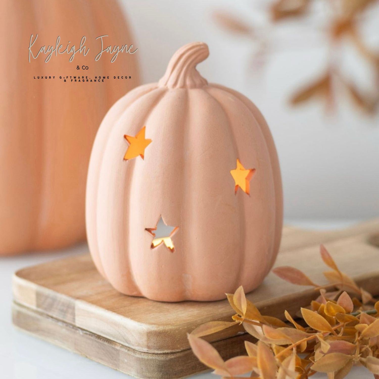 9cm Terracotta Pumpkin Tea light Holder
