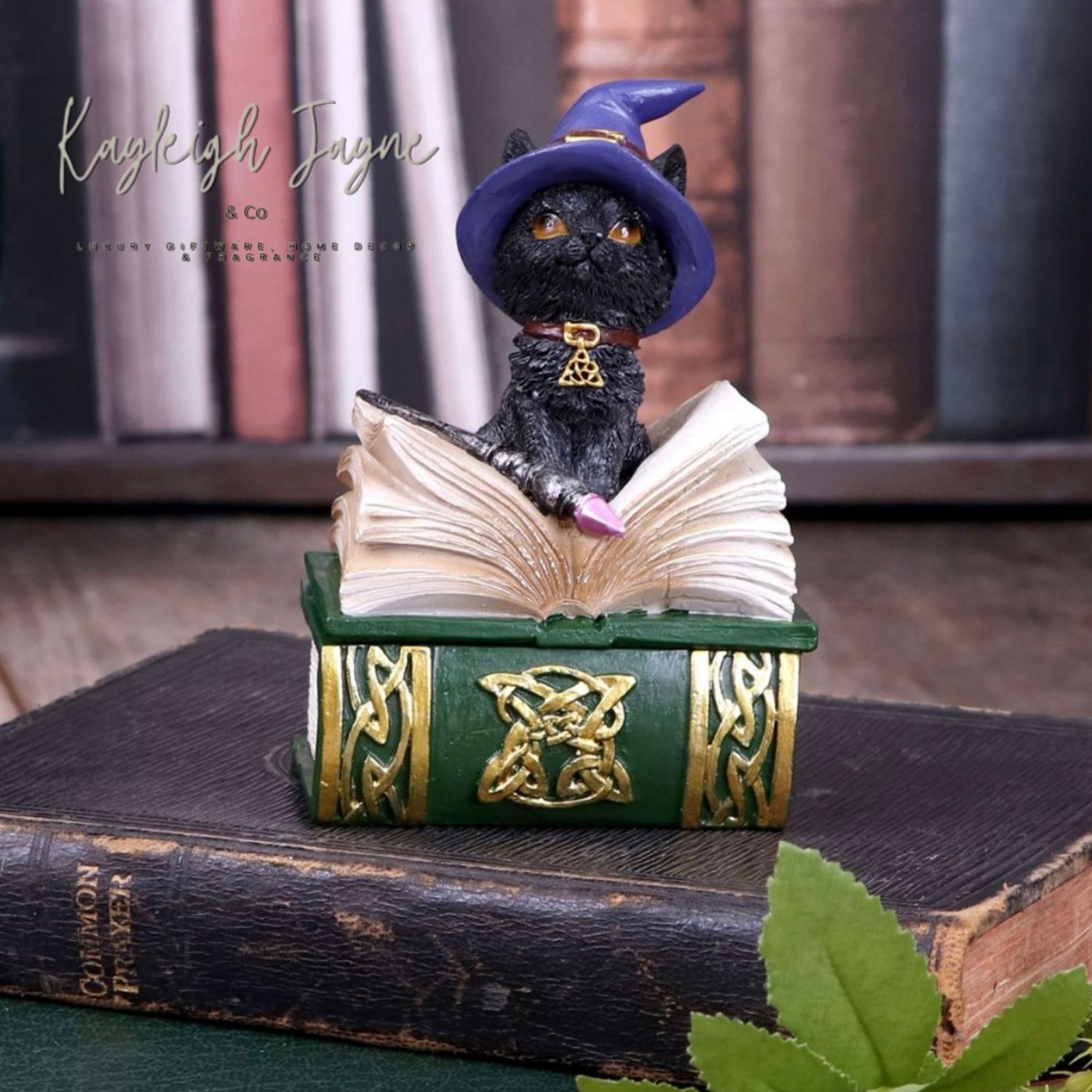 Coven Keepers - Binx Trinket Box