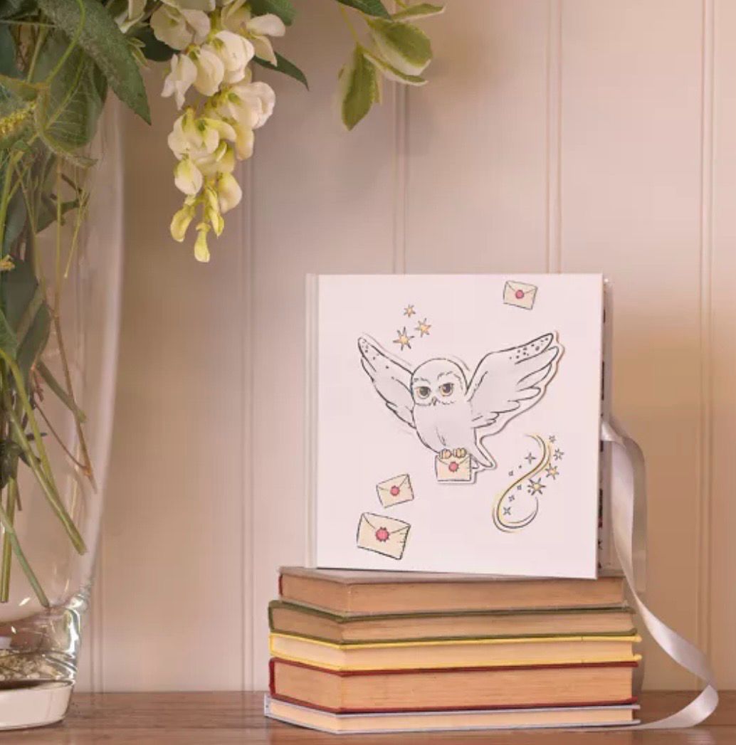 Harry Potter Charms - Hedwig Photo Album