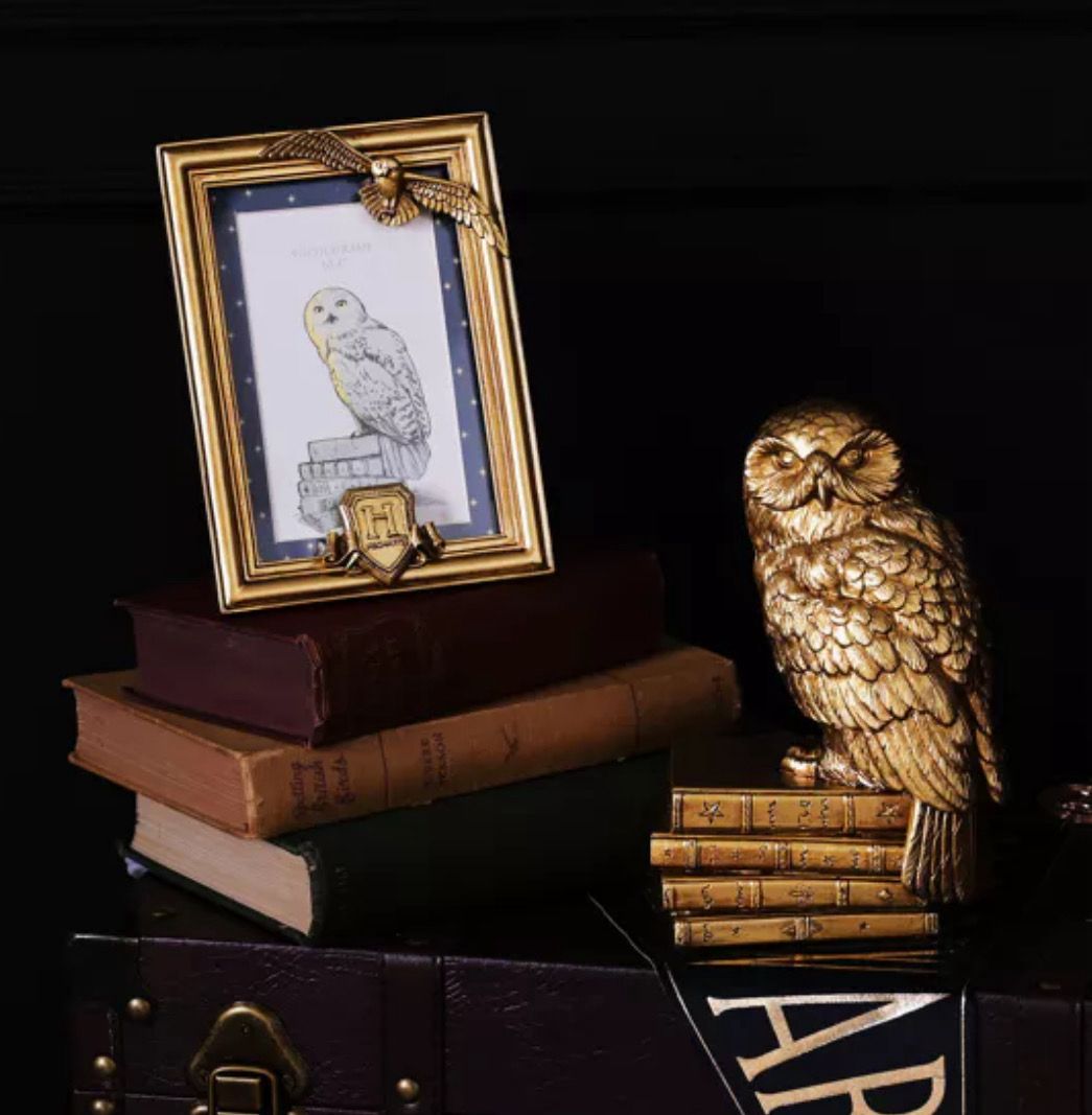 Harry Potter Alumni - Hedwig Frame