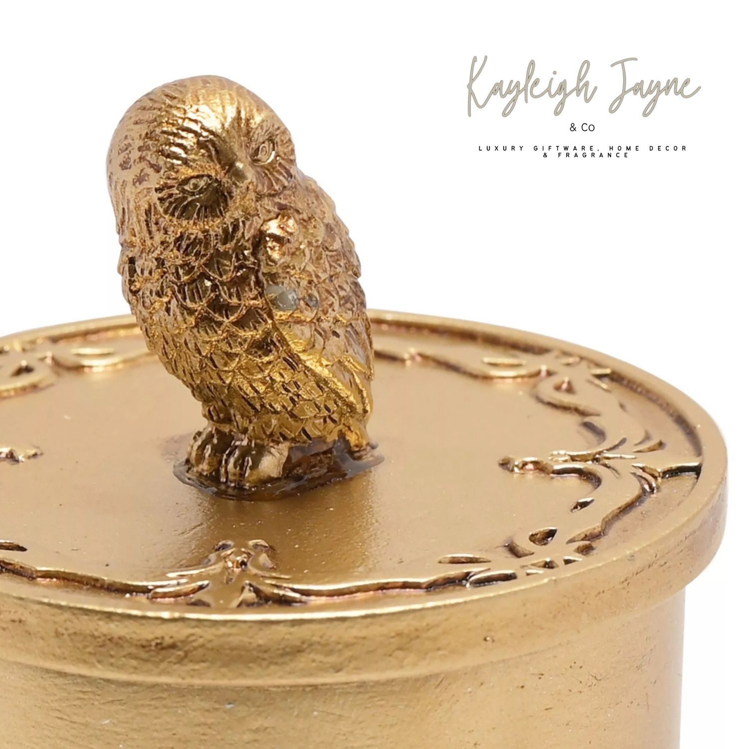 Warner Bros Harry Potter Alumni Trinket Box Hedwig