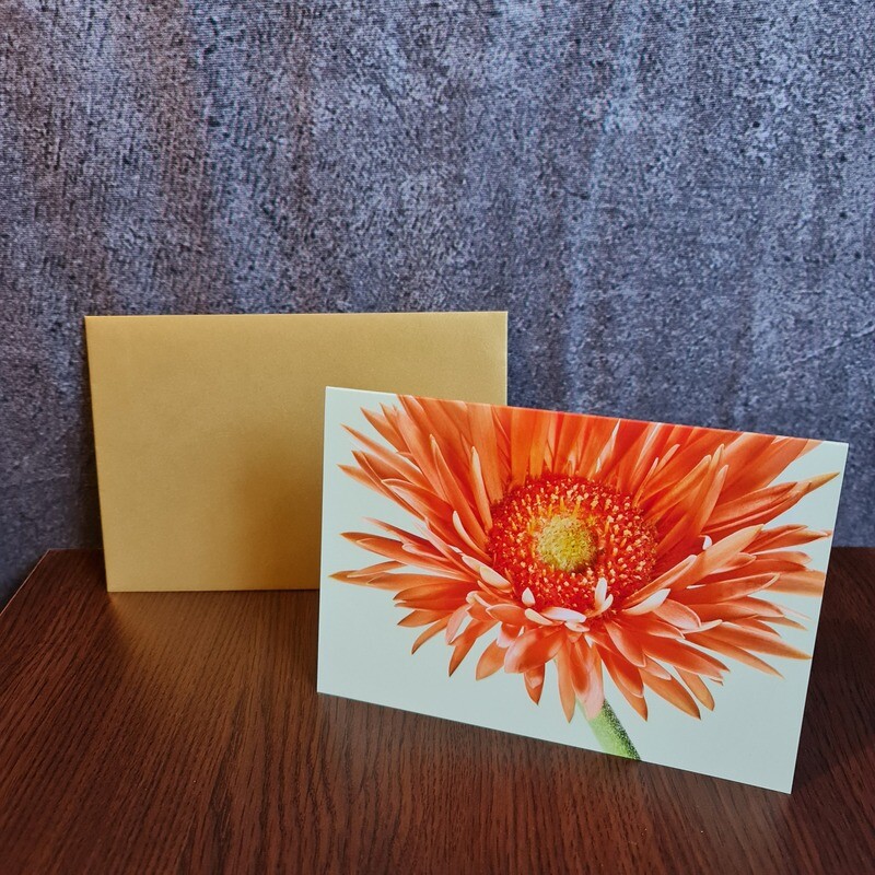 Grußkarte Orange Gerbera Grußkarte Orange Gerbera