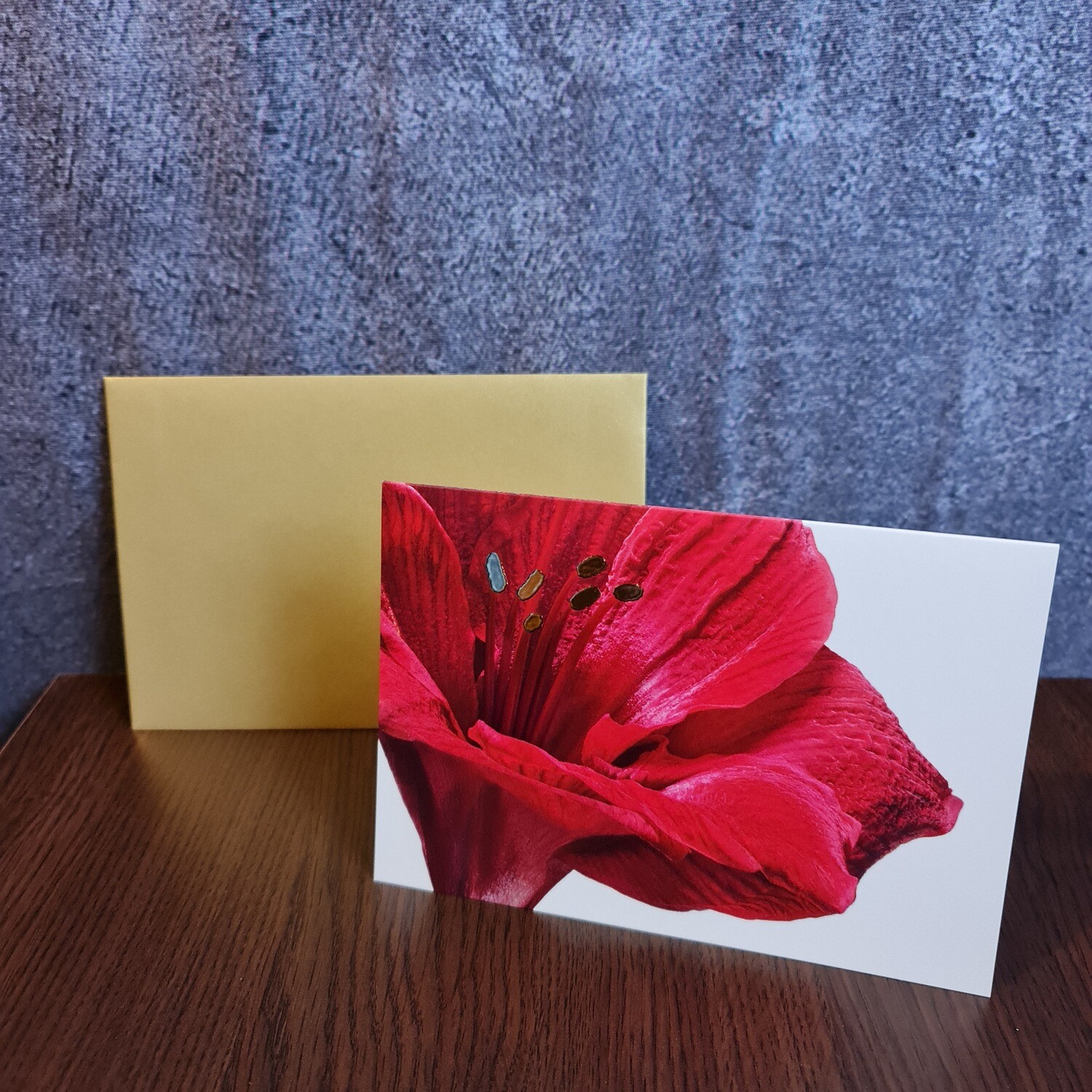 Grußkarte Amaryllis Grußkarte Amaryllis