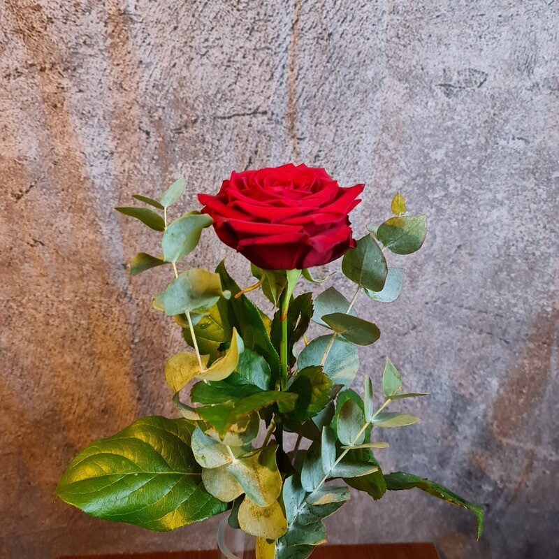 Rote Rose(n) mit Grün (Menge wählbar) Rote Rose(n) mit Grün (Menge wählbar)