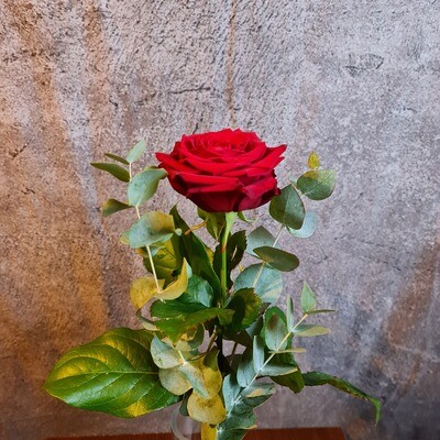Rote Rose(n) mit Grün (Menge wählbar)