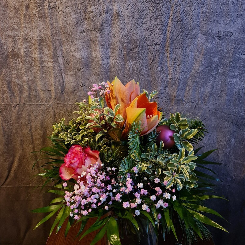 Rosa Weihnacht Rosa Weihnacht