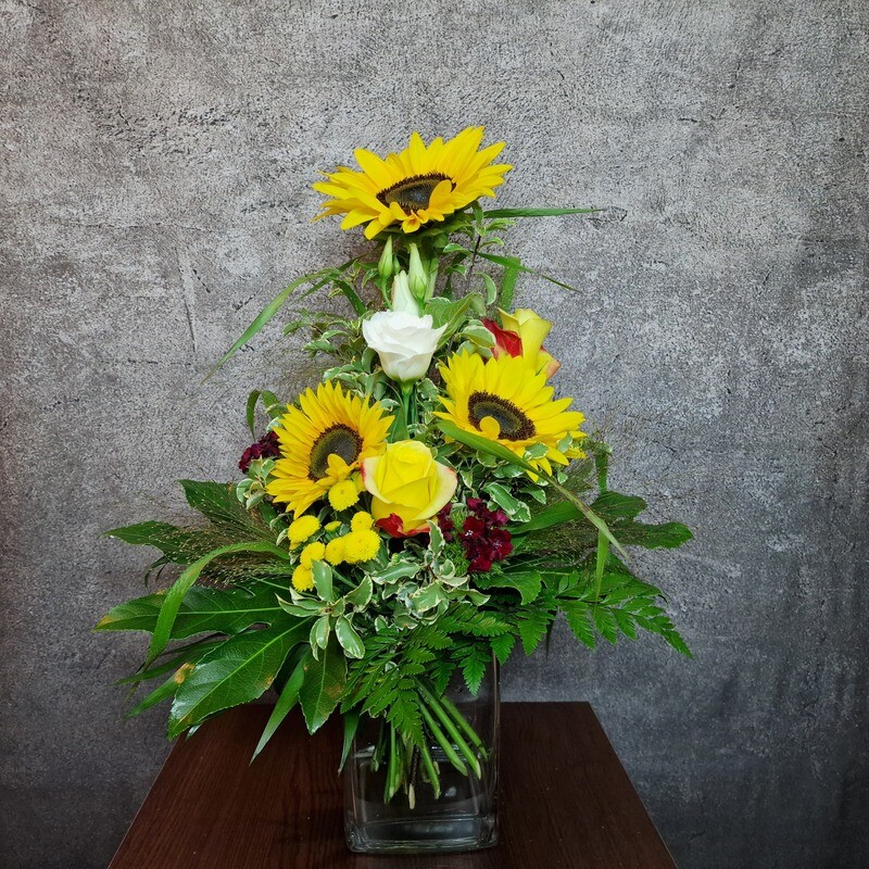 Sonnenschein