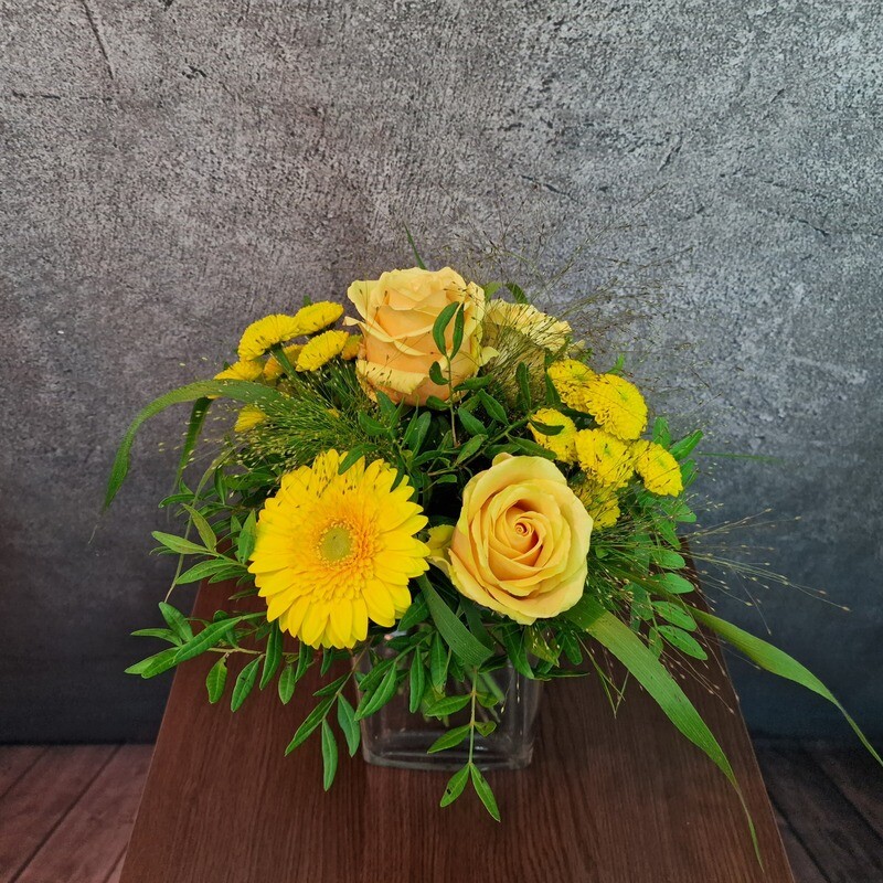 Herbstsonne Herbstsonne