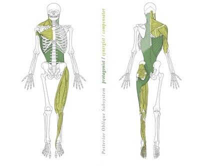ID 6: Assessing Movement Subsystems