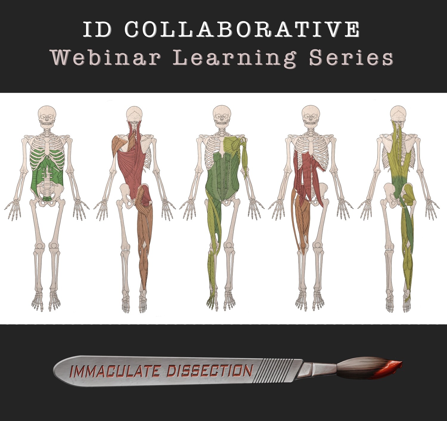 1/14 Thursday: Episode 46: ID-ing the Anatomy of Urinary Tract Infections 1/14 Thursday: Episode 46: ID-ing the Anatomy of Urinary Tract Infections