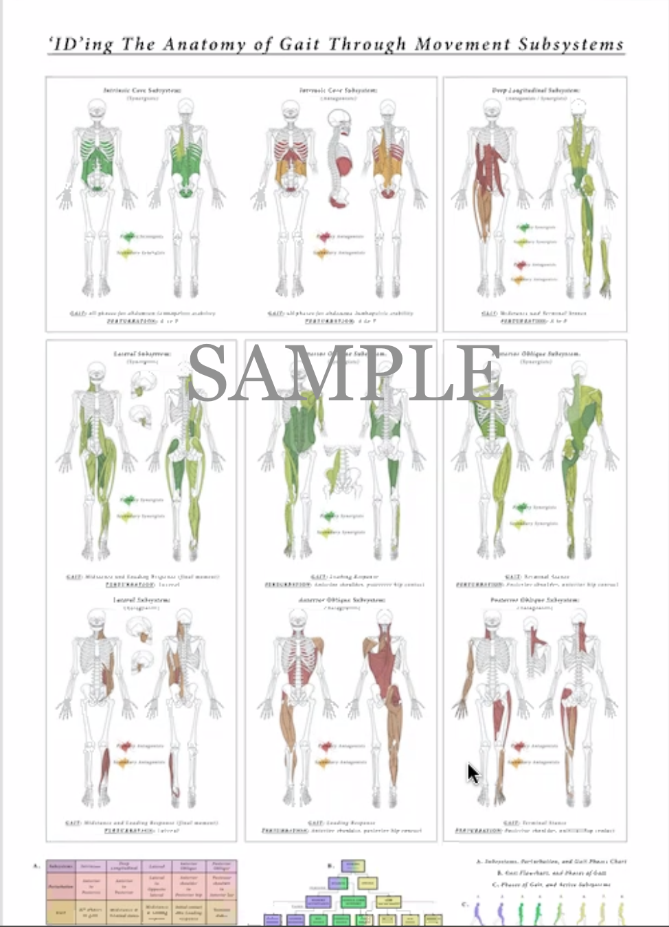ID Gait and Movement Subsystems Poster ID Gait and Movement Subsystems Poster