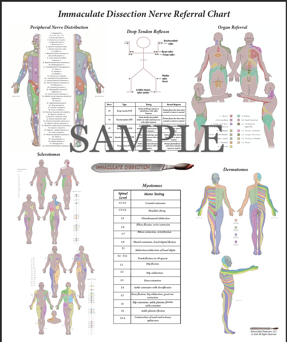 ID Nerve Referral Poster ID Nerve Referral Poster