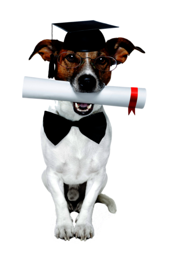 Beginning Open Class  Thursday  7:30pm