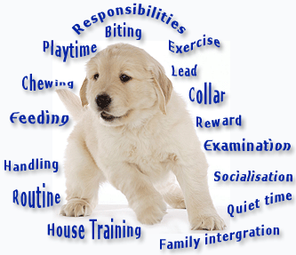 Puppy Class Wednesday 7:05pm