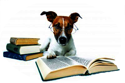 Trial Procedure Class Friday 6:10pm