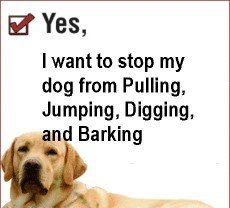 Beginners Class Thursday 7:15 PM